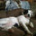 webuser_878334