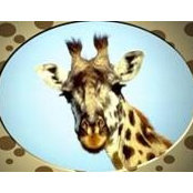 Jane Webley's photo