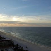 Amelia Ide's photo