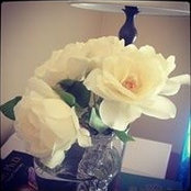 Greta Vargas's photo
