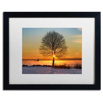 Michael Blanchette Photography 'Eye of the Tree' Matted Framed Art, 20x16