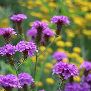 Giardino naturale