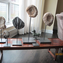 Fossil Display Stands - Decorative Objects And Figurines
