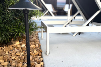This is an example of a small modern drought-tolerant, privacy and full sun courtyard concrete paver and wood fence landscaping in Other for fall.