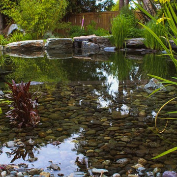 Backyard Swim Pond