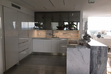 Kitchen - contemporary kitchen idea in Miami