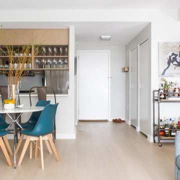 Long Island City Apartment