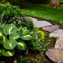 vicki_lee's ideas