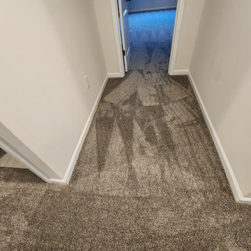 Residential Carpet Installation