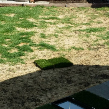 Synthetic Artificial Turf Grass Dog Yard Transformations