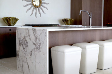 Example of a mid-sized trendy galley concrete floor enclosed kitchen design in Miami with flat-panel cabinets, dark wood cabinets, marble countertops, an island, an undermount sink and paneled appliances