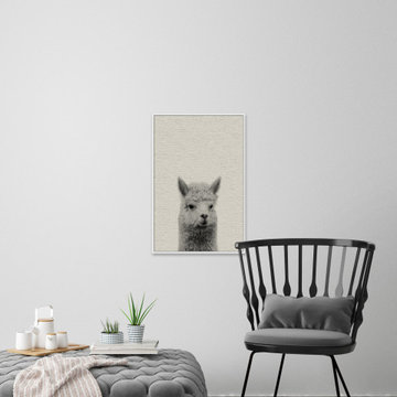 "Llama Surprise" Floater Framed Painting Print on Canvas