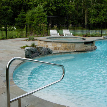 Glenview, IL Natural Swimming Pool and Raised Hot Tub
