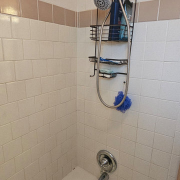 Before: Original Tub and Shower Area