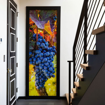Wine Room Door