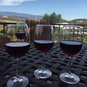 Sarah Sampson's photo