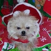Pattie Platt's photo