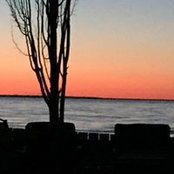 Melissa Wallington's photo