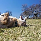 Brooke Moloney's photo
