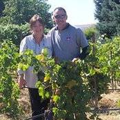 Foto von Songbird Vineyard