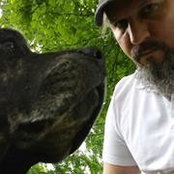 Joe McDonough's photo