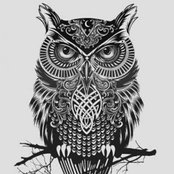 Saria Recinos's photo