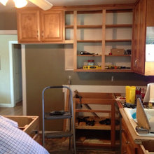 Designed & Built By Ron DeBenedictis