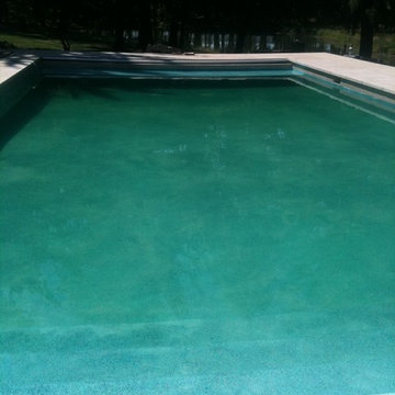 Long Grove, IL Swimming Pool Renovation