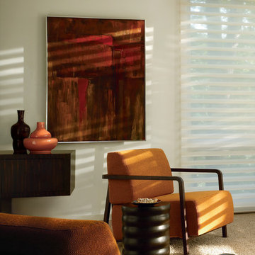 Silhouette Window Shadings