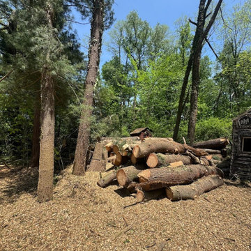 All Trees Considered, LLC