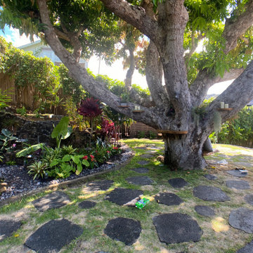 100 Year Old Tree Bench