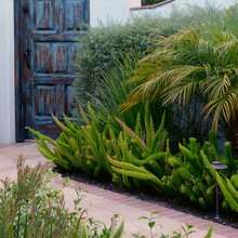 Landscape Ideas