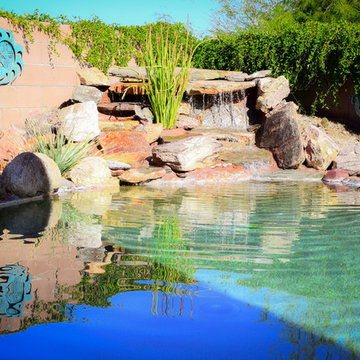 Custom Pools, Stream, Water Feature