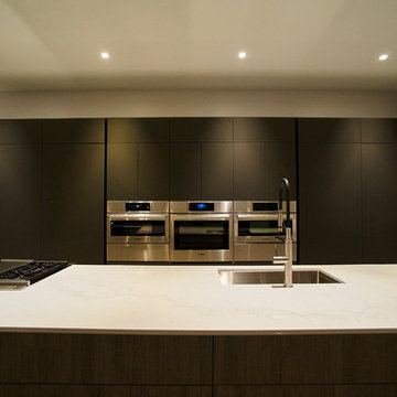 Sculptural Simplicity in Lincoln Park: A Modern Kitchen Redefined