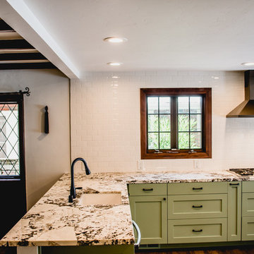 McKinley Park Kitchen Remodel