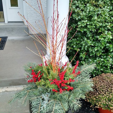 Winter Planters