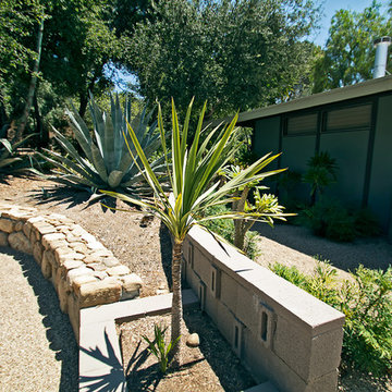 New 1-Year-Old Garden