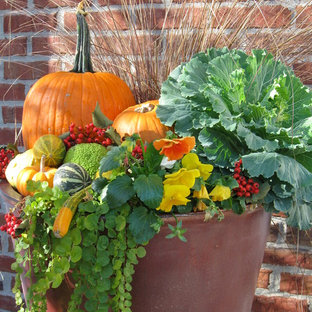 Design ideas for a small country front yard garden in Omaha with a container garden.