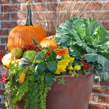 Front porch Decoration