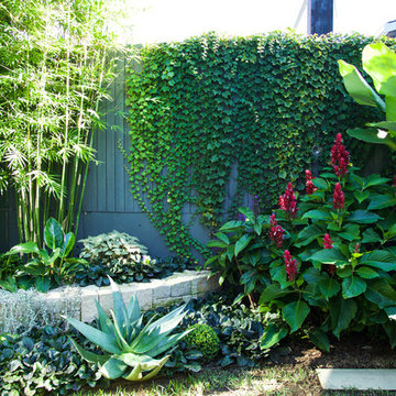 Designedly Drummoyne