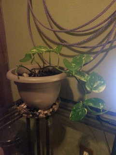 square ceramic plant pots Square Ceramic Plant Pots for Sale