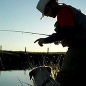 Ryan McDonald's photo