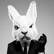 Stefan Kröger's photo