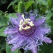 Michele Beach's photo
