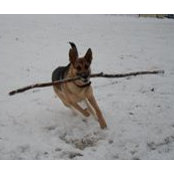 Mitch Hunter's photo