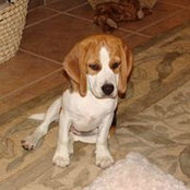 Michelle Rickman's photo