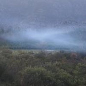 Greta Engelbrecht's photo