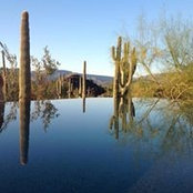 Nathan Onfrichuk's photo