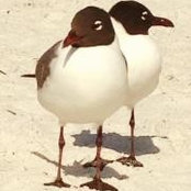 Shannan Powell's photo