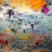 Foto von Chiaki Johnson